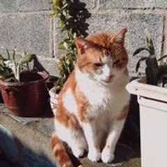 Marc