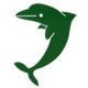 Les Dauphins du TOEC