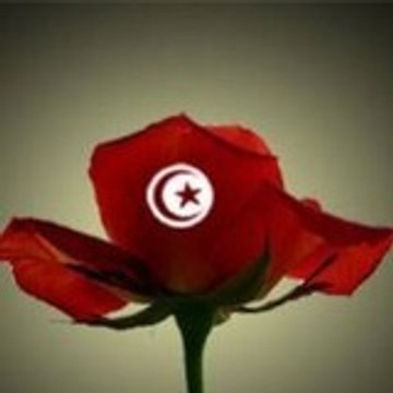 tunisiena