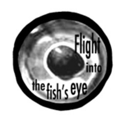 Flight into the fish's eye