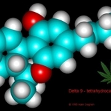 budsmoker