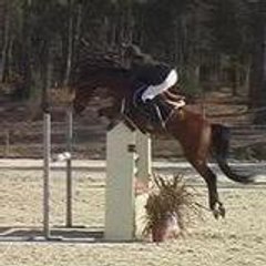 Chro-Chou