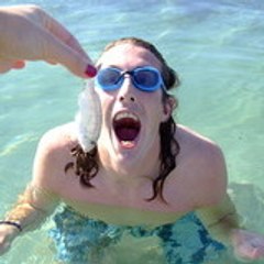 crazyfreeflyer