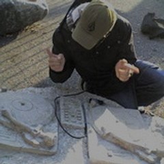 dagio01250
