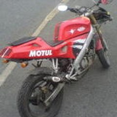 willigpr