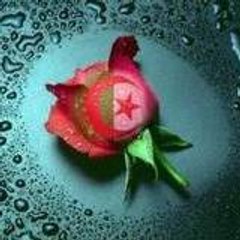 mohammed