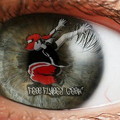 freeflyerscrew