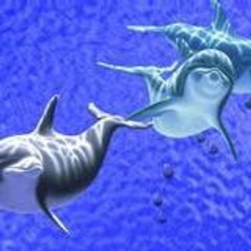 oceanneblue