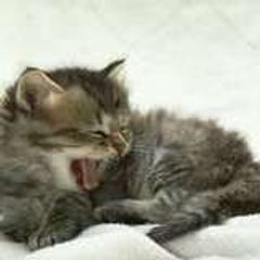 mir4onaaa