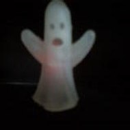 Walter Alfredo Bolcato