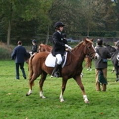Romain