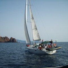 croisiera