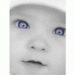 MIMI_WIENER
