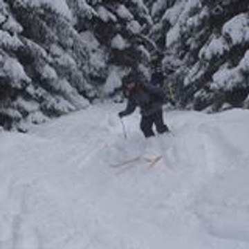 liguec1
