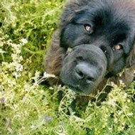 Valérie Valérie Cyr