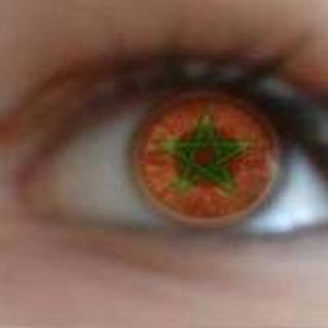 elamine-youssef
