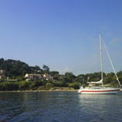 tabascobandol