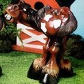 cRAZY hORSE
