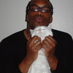 Kennychiwah