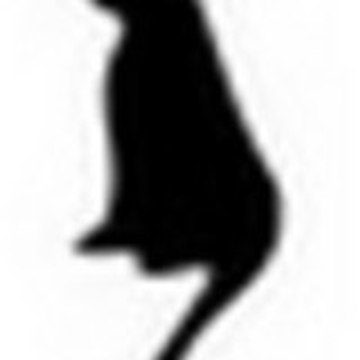 auchatnoir