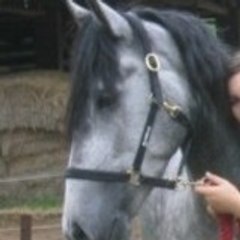 Morgane