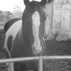 elizah