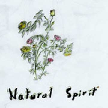 John Fitzgerald Mc Alister Delanoé