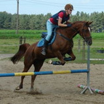 Elfaniel Hermel