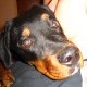 fabien