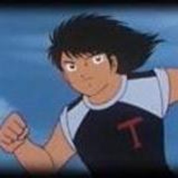 tohofc