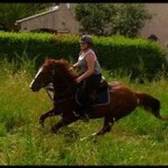 Lora_du_83
