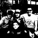 Animal Boys