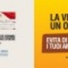 ilguidatoredesignato