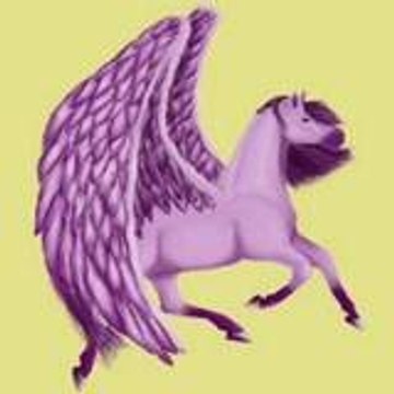 passionchevaux96