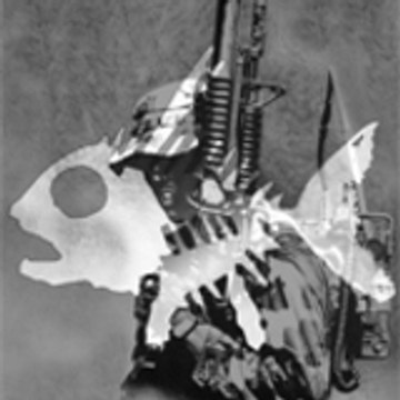 jeffpiranha