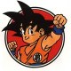 kakarot13