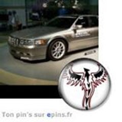 shelbycarsusa