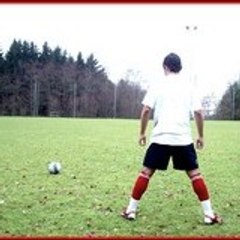 mauro2008