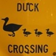 Le bon site Français pour (un peu) gueuler !