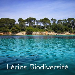 Lérins Biodiversité