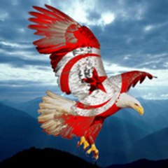 giguini