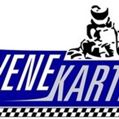 venekarting