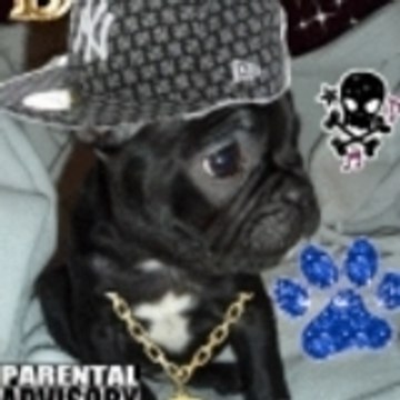 cin-killa