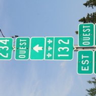 Caro (line) Pasc (ale)