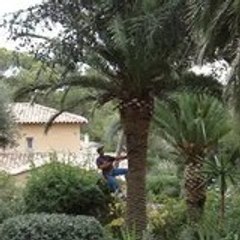 Elie lejardinier83