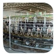 Maestría en Ciencias Agropecuarias