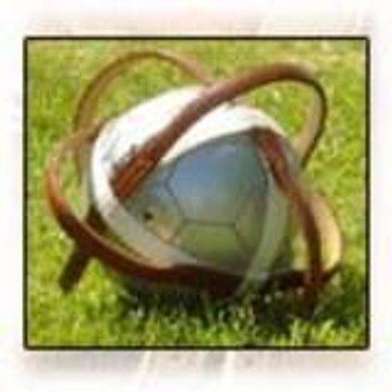 Horseball73