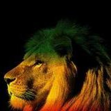 Revolutionary Lion aka AnaKondaH Jeminis