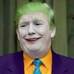 1st Amendment Videos