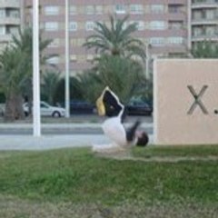 pitu